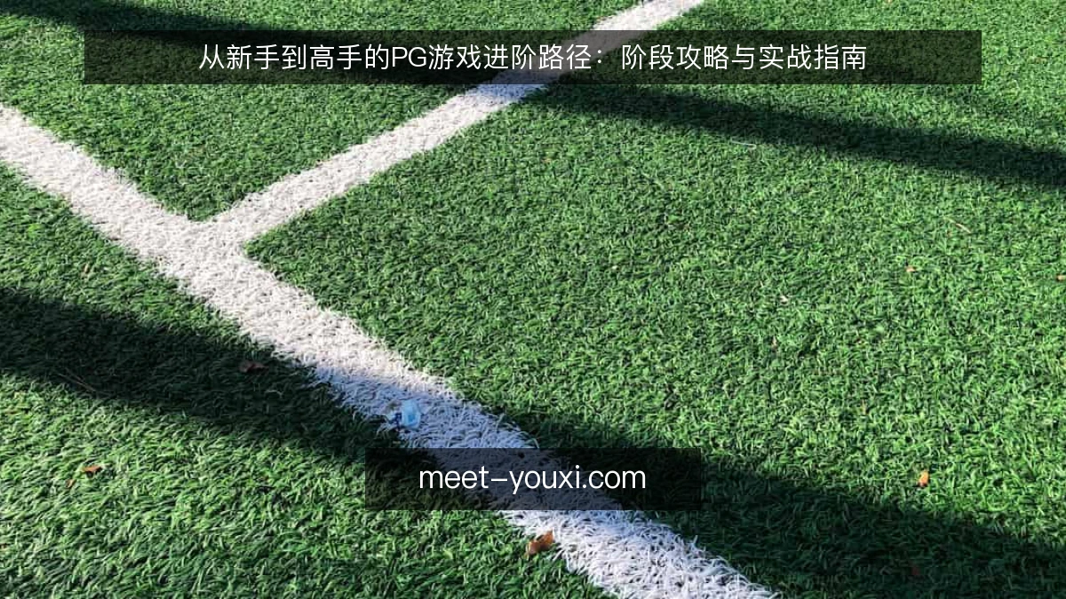 从新手到高手的PG游戏进阶路径:阶段攻略与实战指南
