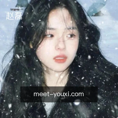 赵磊